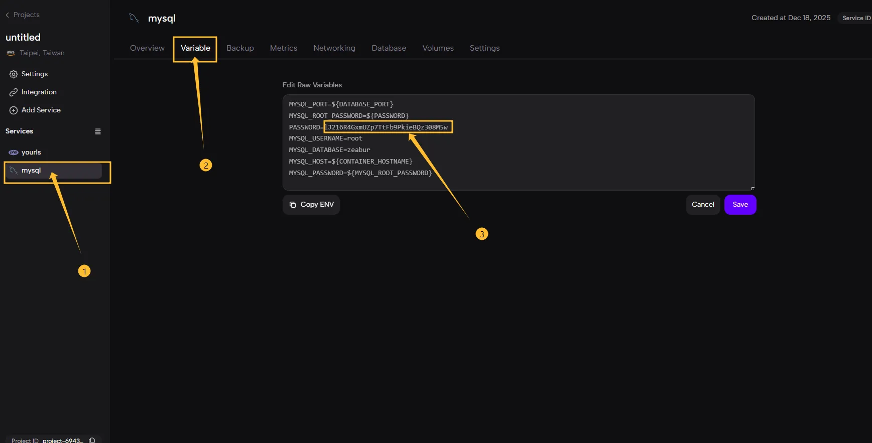 mysql variable password