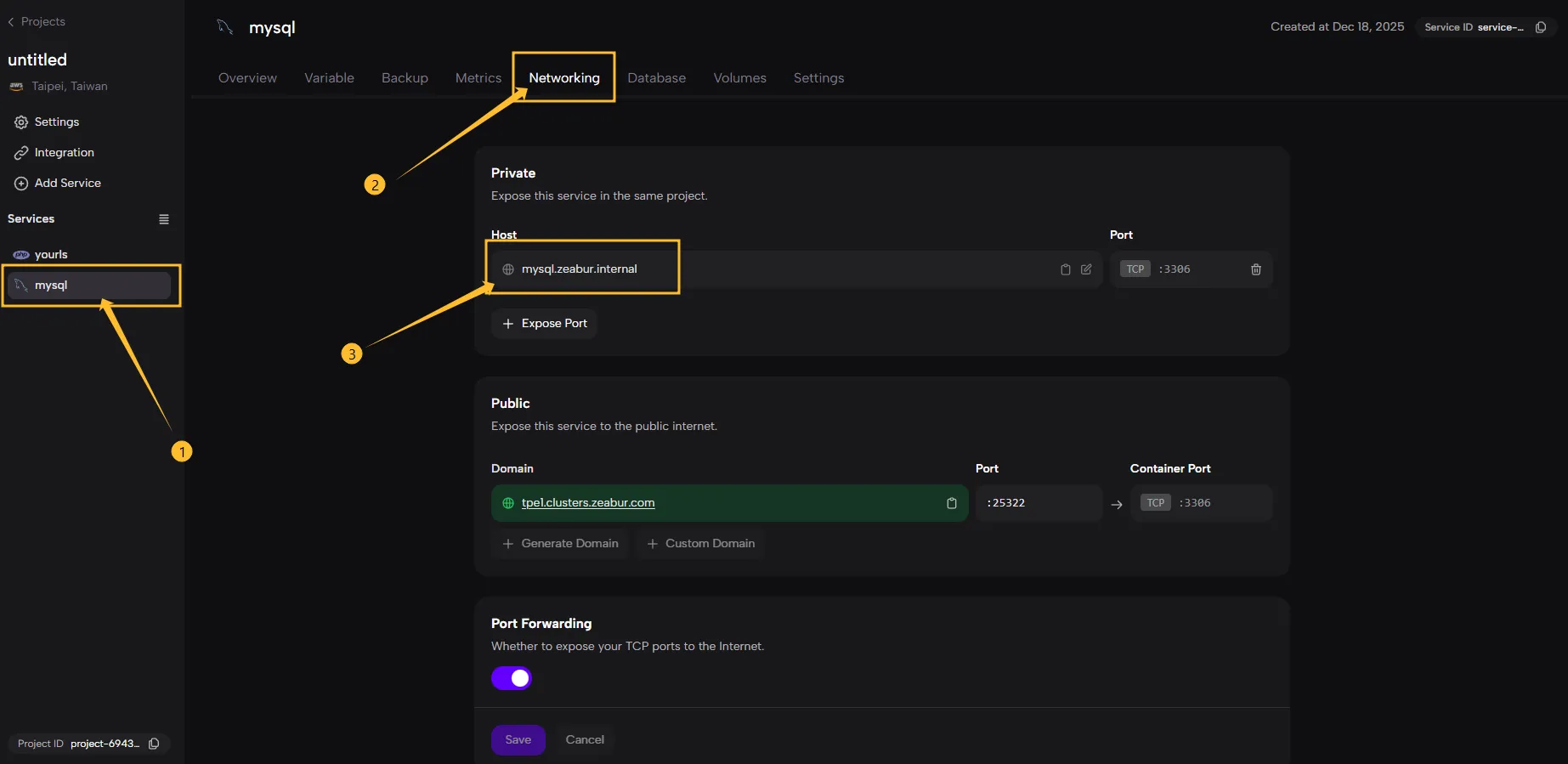 mysql networking private domain